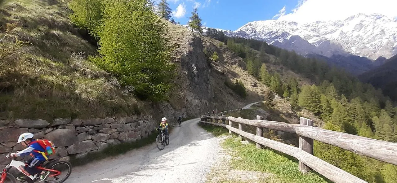 Confinale Hotel Santa Caterina Valfurva 2*,